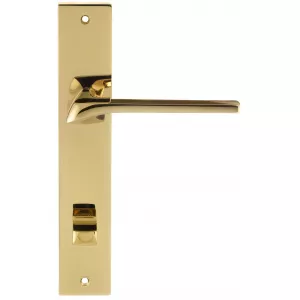 Дверная ручка на планке Extreza ERICA-PL13-WC-96-F06-PVD (ERICA 119) полированная латунь PVD