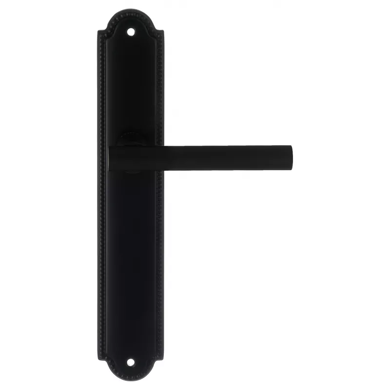 Дверная ручка на планке Extreza 