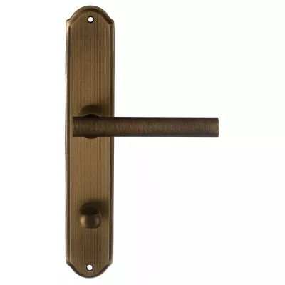 Дверная ручка на планке Extreza 