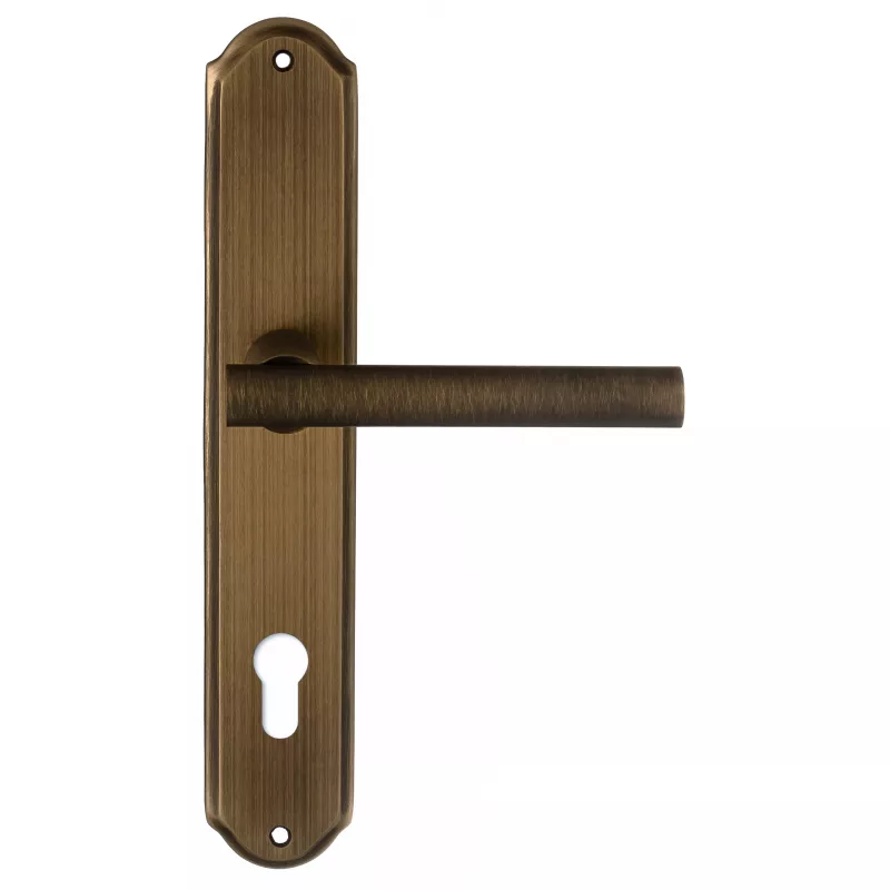 Дверная ручка на планке Extreza 