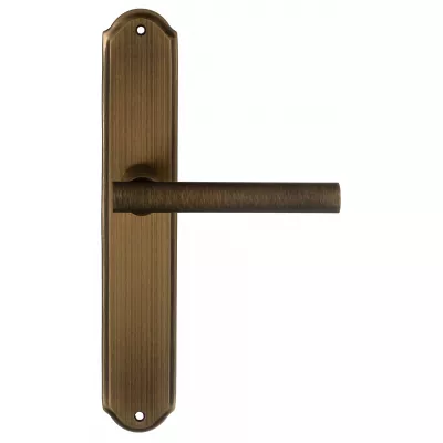 Дверная ручка на планке Extreza 