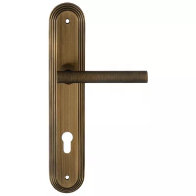 Дверная ручка на планке Extreza 