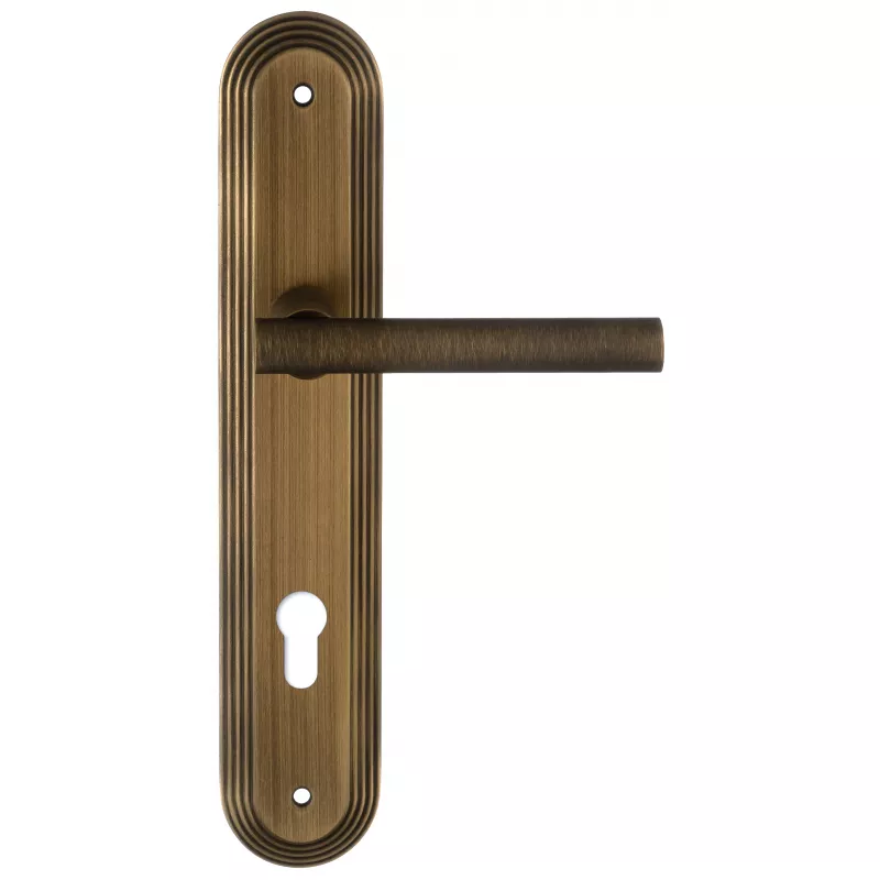 Дверная ручка на планке Extreza 