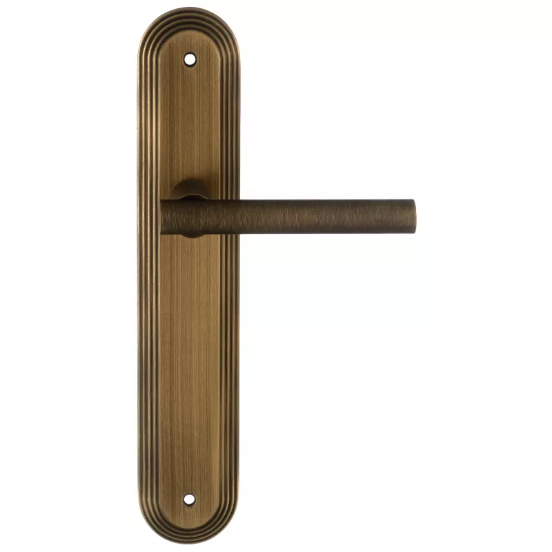 Дверная ручка на планке Extreza 