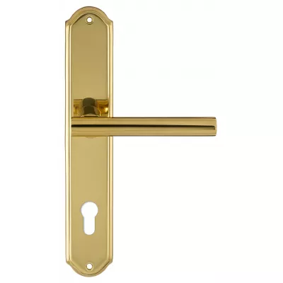 Дверная ручка на планке Extreza 