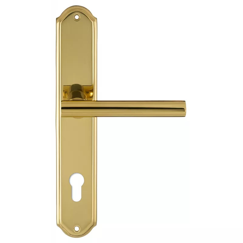 Дверная ручка на планке Extreza 