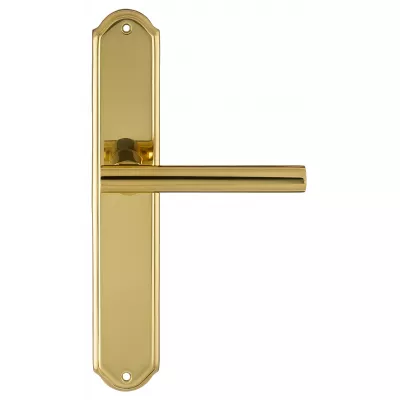 Дверная ручка на планке Extreza 