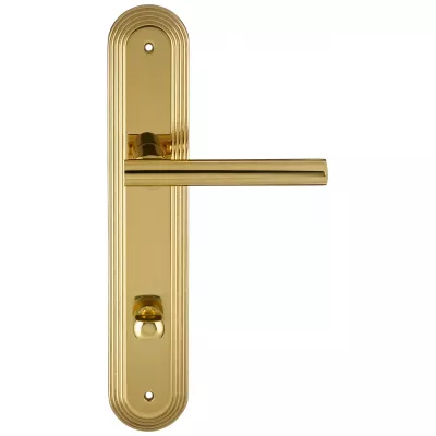 Дверная ручка на планке Extreza 