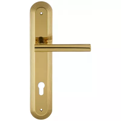 Дверная ручка на планке Extreza 