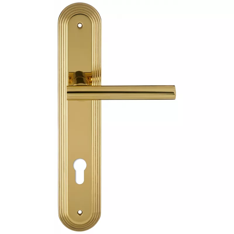 Дверная ручка на планке Extreza 