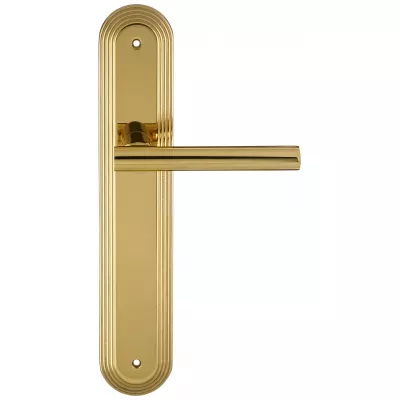 Дверная ручка на планке Extreza 