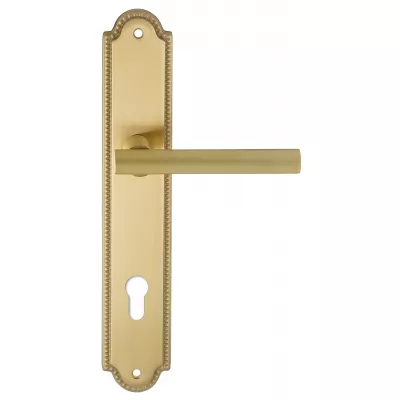 Дверная ручка на планке Extreza 