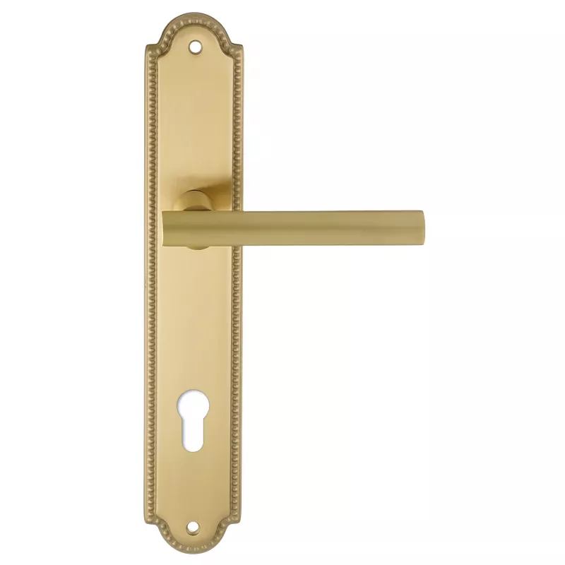 Дверная ручка на планке Extreza 