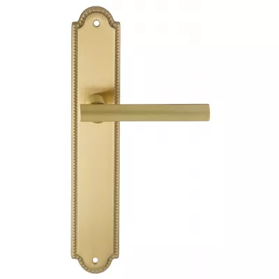 Дверная ручка на планке Extreza 