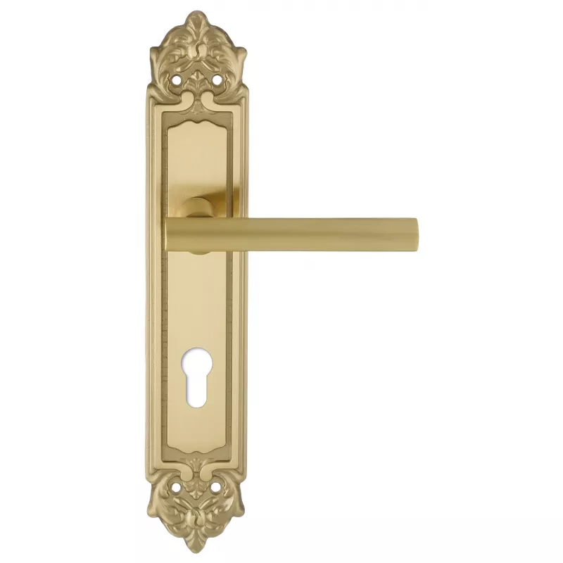 Дверная ручка на планке Extreza 