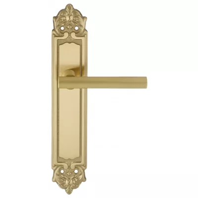 Дверная ручка на планке Extreza 