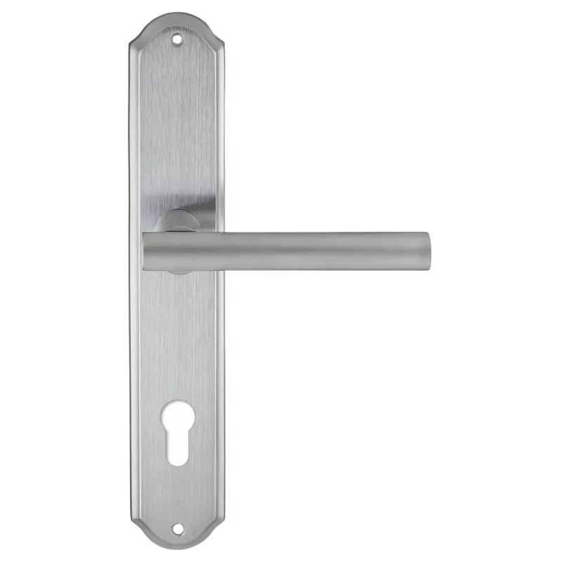 Дверная ручка на планке Extreza 