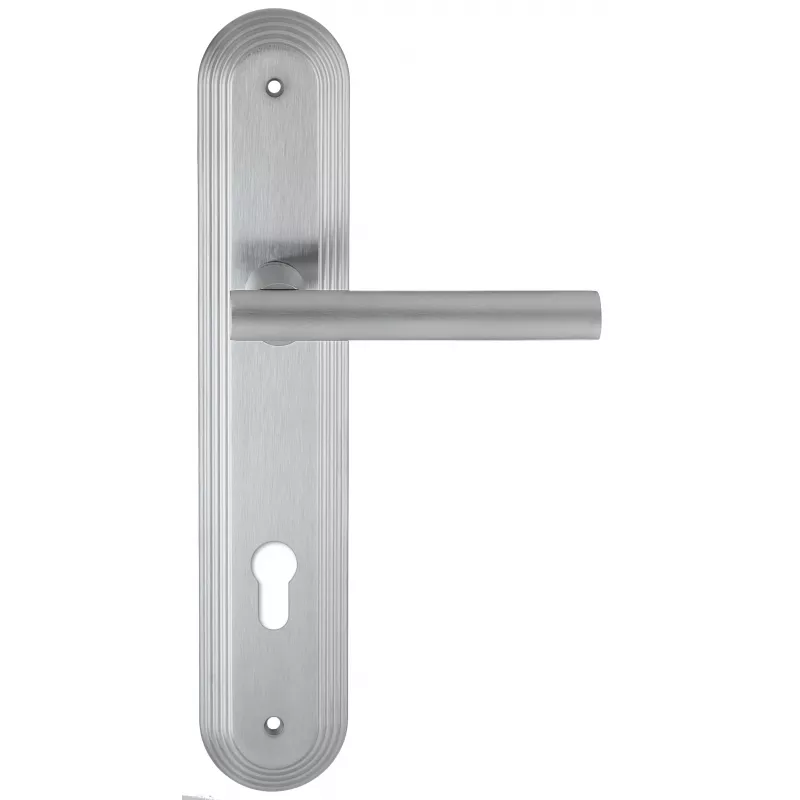 Дверная ручка на планке Extreza 