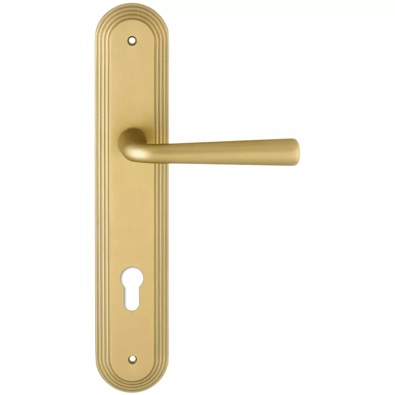 Дверная ручка Extreza 