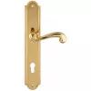 Дверная ручка на планке Extreza BERTA-PL03-CYL-85-F01 (BERTA 312) полированная латунь