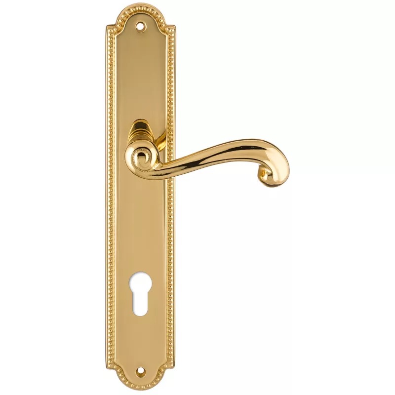 Дверная ручка на планке Extreza BERTA-PL03-CYL-85-F01 (BERTA 312) полированная латунь