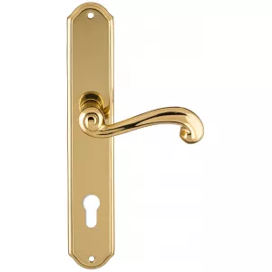 Дверная ручка на планке Extreza BERTA-PL01-CYL-85-F01 (BERTA 312) полированная латунь