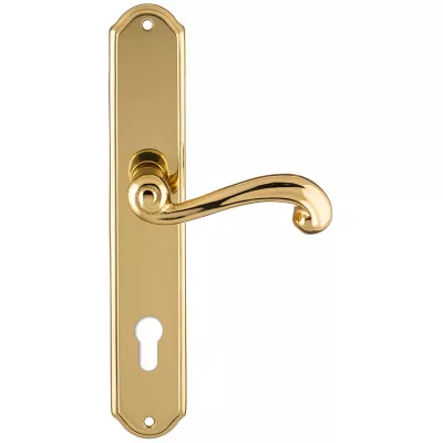 Дверная ручка на планке Extreza BERTA-PL01-CYL-85-F01 (BERTA 312) полированная латунь