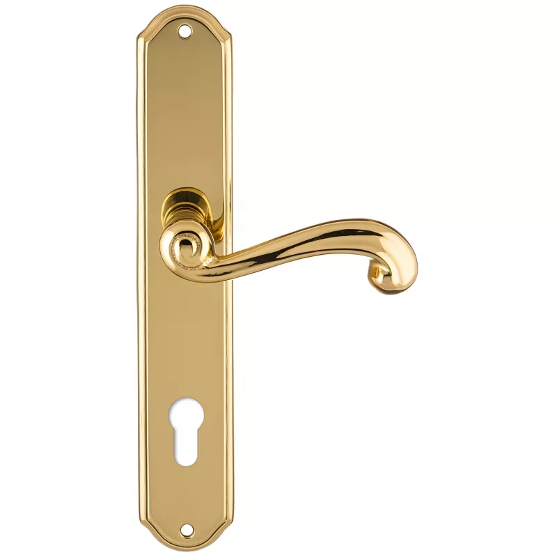 Дверная ручка на планке Extreza BERTA-PL01-CYL-85-F01 (BERTA 312) полированная латунь