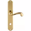 Дверная ручка на планке Extreza BERTA-PL01-WC-96-F01 (BERTA 312) полированная латунь
