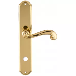 Дверная ручка на планке Extreza BERTA-PL01-WC-96-F01 (BERTA 312) полированная латунь