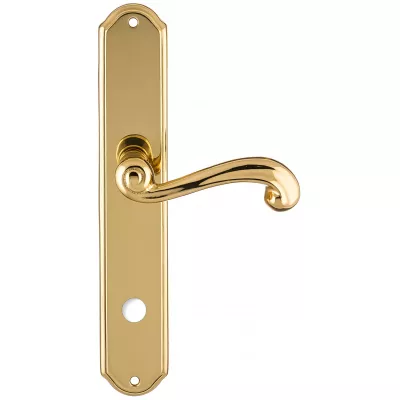 Дверная ручка на планке Extreza BERTA-PL01-WC-96-F01 (BERTA 312) полированная латунь