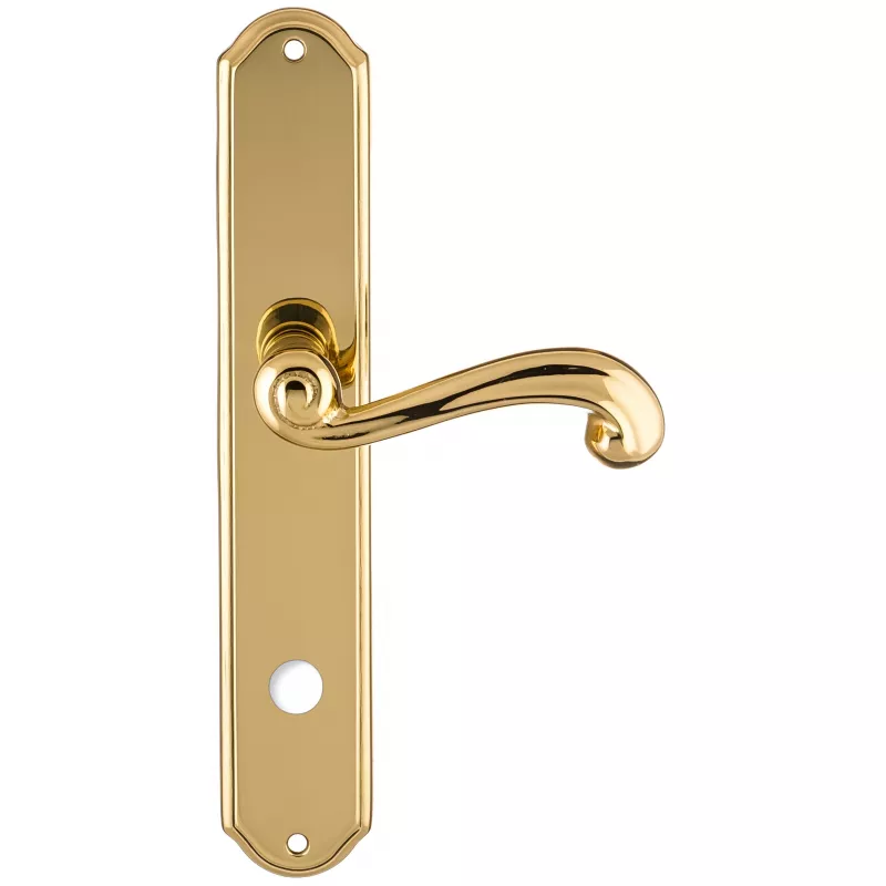 Дверная ручка на планке Extreza BERTA-PL01-WC-96-F01 (BERTA 312) полированная латунь