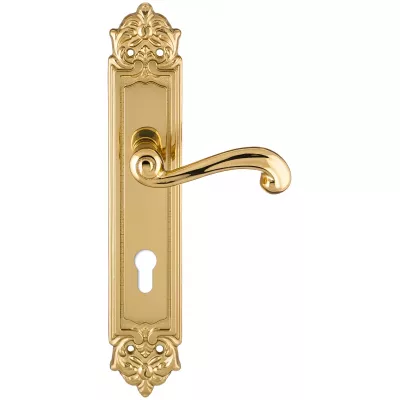 Дверная ручка на планке Extreza BERTA-PL02-CYL-85-F01 (BERTA 312) полированная латунь