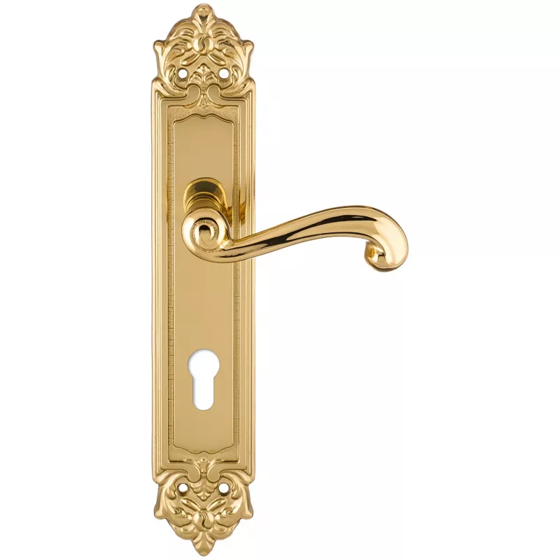 Дверная ручка на планке Extreza BERTA-PL02-CYL-85-F01 (BERTA 312) полированная латунь