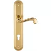 Дверная ручка на планке Extreza BERTA-PL05-CYL-85-F01 (BERTA 312) полированная латунь