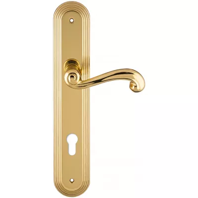 Дверная ручка на планке Extreza BERTA-PL05-CYL-85-F01 (BERTA 312) полированная латунь