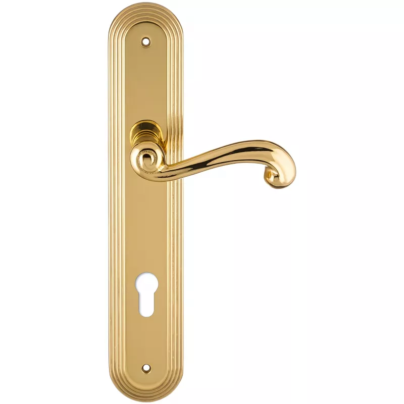 Дверная ручка на планке Extreza BERTA-PL05-CYL-85-F01 (BERTA 312) полированная латунь