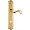 Дверная ручка на планке Extreza BERTA-PL05-WC-96-F01 (BERTA 312) полированная латунь
