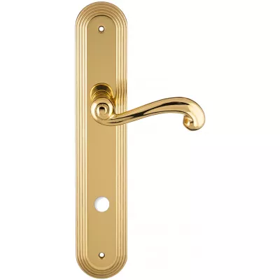 Дверная ручка на планке Extreza BERTA-PL05-WC-96-F01 (BERTA 312) полированная латунь