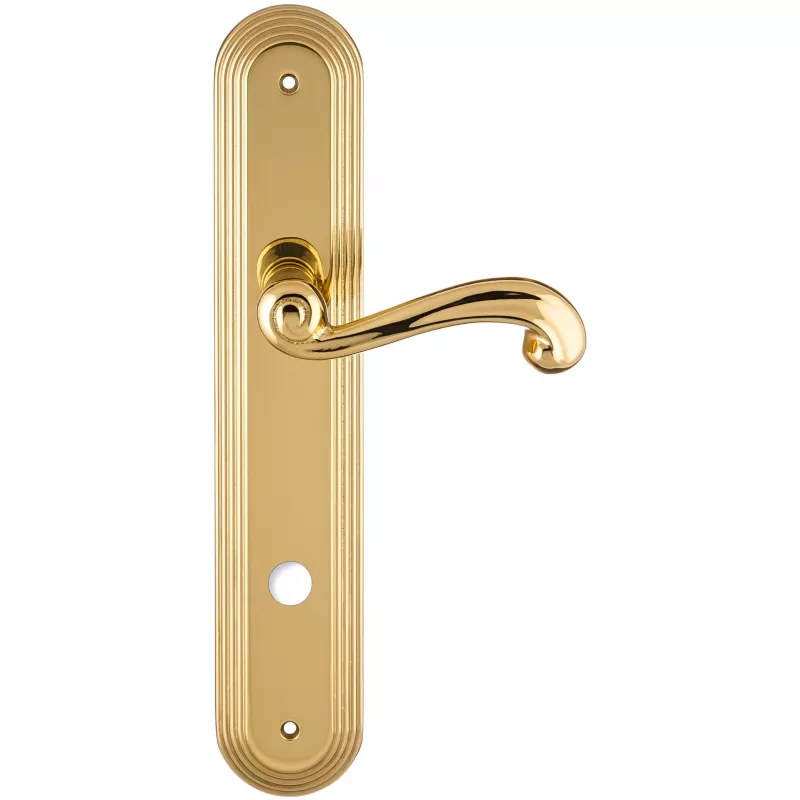 Дверная ручка на планке Extreza BERTA-PL05-WC-96-F01 (BERTA 312) полированная латунь