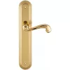 Дверная ручка на планке Extreza BERTA-PL05-F01 (BERTA 312) полированная латунь
