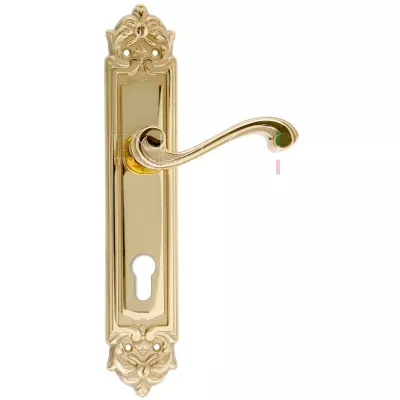 Дверная ручка Extreza 