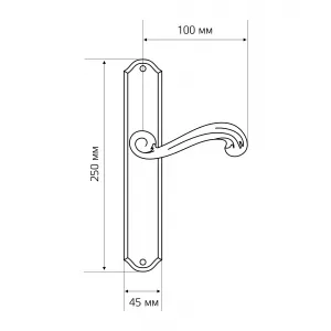 Дверная ручка на планке Extreza BERTA-PL01-WC-96-F01 (BERTA 312) полированная латунь
