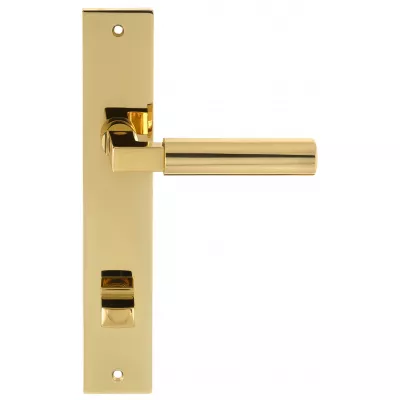 Дверная ручка на планке Extreza STEM-PL13-WC-96-F01-F06 (STEM 135) полированная латунь / латунь PVD