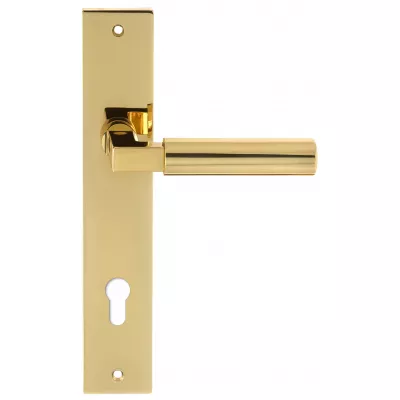 Дверная ручка на планке Extreza STEM-PL13-CYL-85-F01-F06 (STEM 135) полированная латунь / латунь PVD