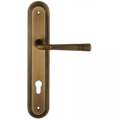 Дверная ручка Extreza 