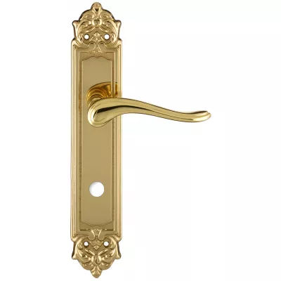 Дверная ручка Extreza "ARIANA" (Ариана) 333 на планке PL02 полированная латунь F01 сантехническая завертка WC