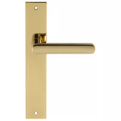 Дверная ручка на планке Extreza Hi-Tech "AQUA" 113 PL13 полированная латунь F06 PVD