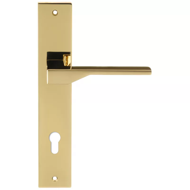 Дверная ручка на планке Extreza Hi-Tech "ADONA" 122 PL13-CYL-85 полированная латунь PVD F06