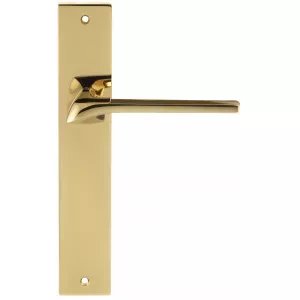 Дверная ручка на планке Extreza ERICA-PL13-F06-PVD (ERICA 119) полированная латунь PVD